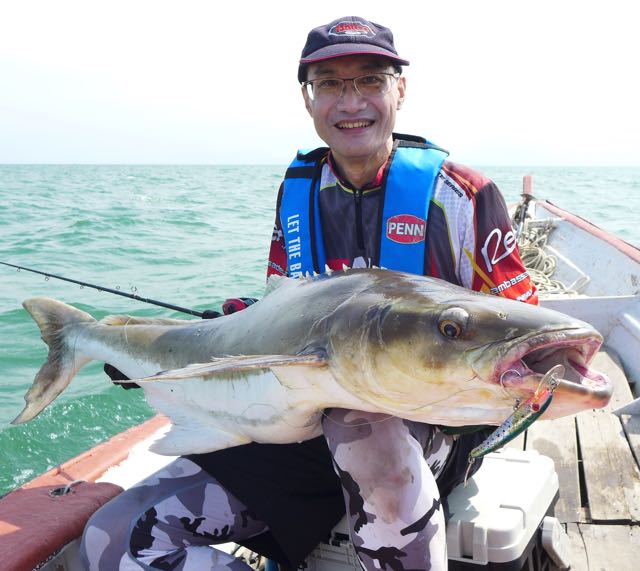 Pros' Tips for Sight-Casting to Cobia