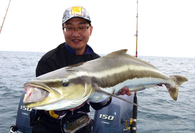 Circle hook fishing for cobia