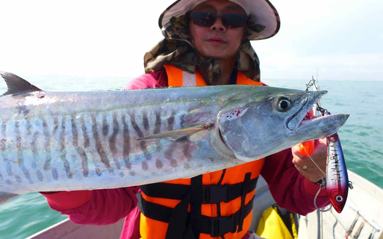 Mackerel fishing in Malaysia