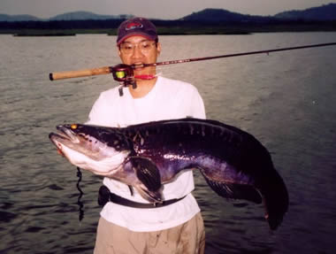 giant snakehead record