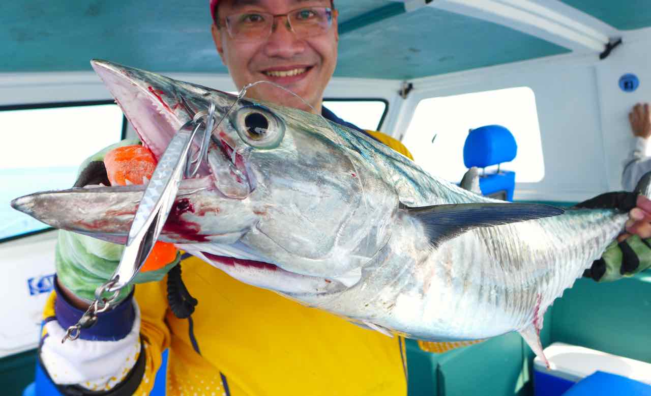 Halco Twisty caught this Narrow-barred Spanish Mackerel, Tenggiri