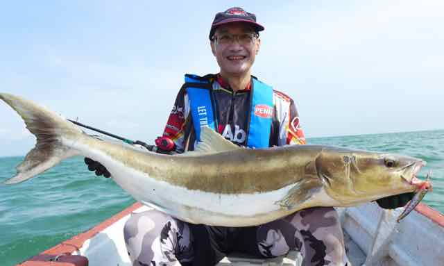Revo Beast Rocket catches monster cobia in Malaysia