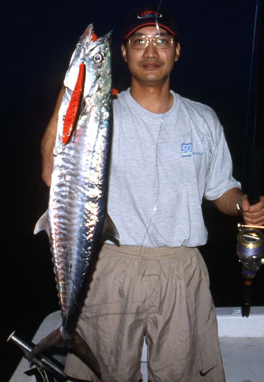 Narrow-barred Spanish Mackerel caught using a cast Halco LP190