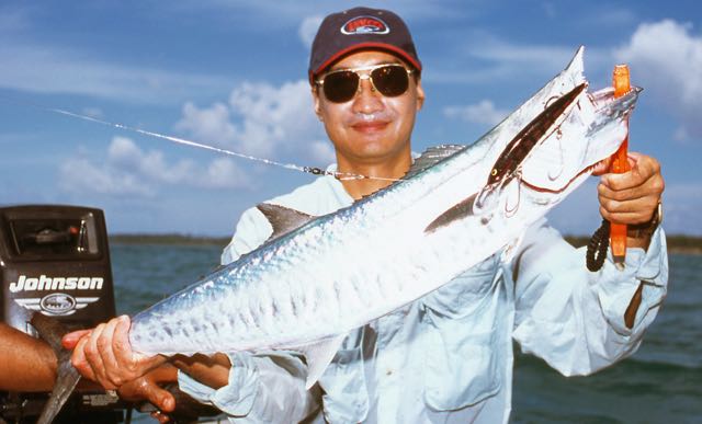 Narrow-barred Spanish Mackerel caught using a trolled Sorcerer 150 Chrome Pink