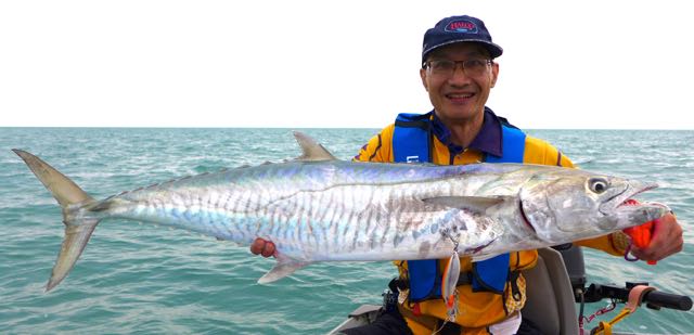 Narrow-barred Spanish Mackerel caught using a trolled Sorcerer 90