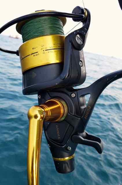 Penn Spinfisher VI 6500 for Nile Perch - the freespool lever activated for livebaiting.