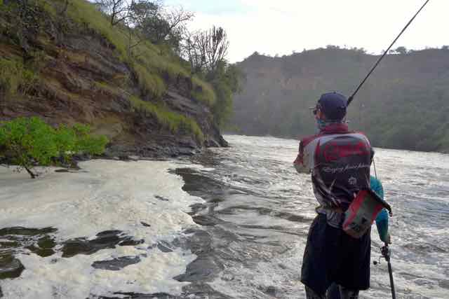 Nile Perch Experience, Murchison Falls, Uganda, Africa!