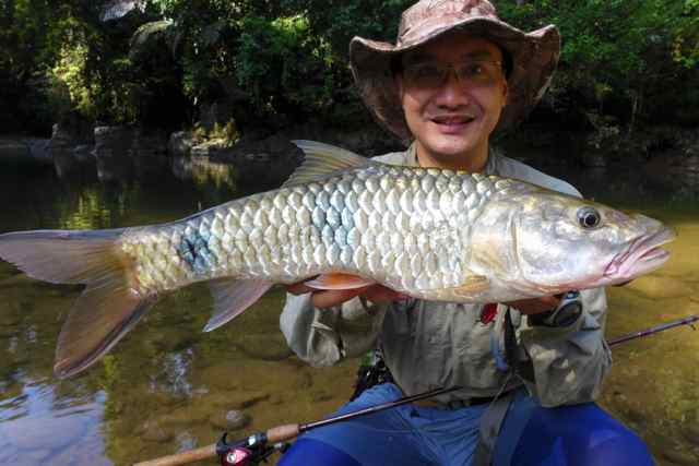 A Hard Time at Bakun, Sarawak, Malaysia - fishing for sebarau, haruan ...