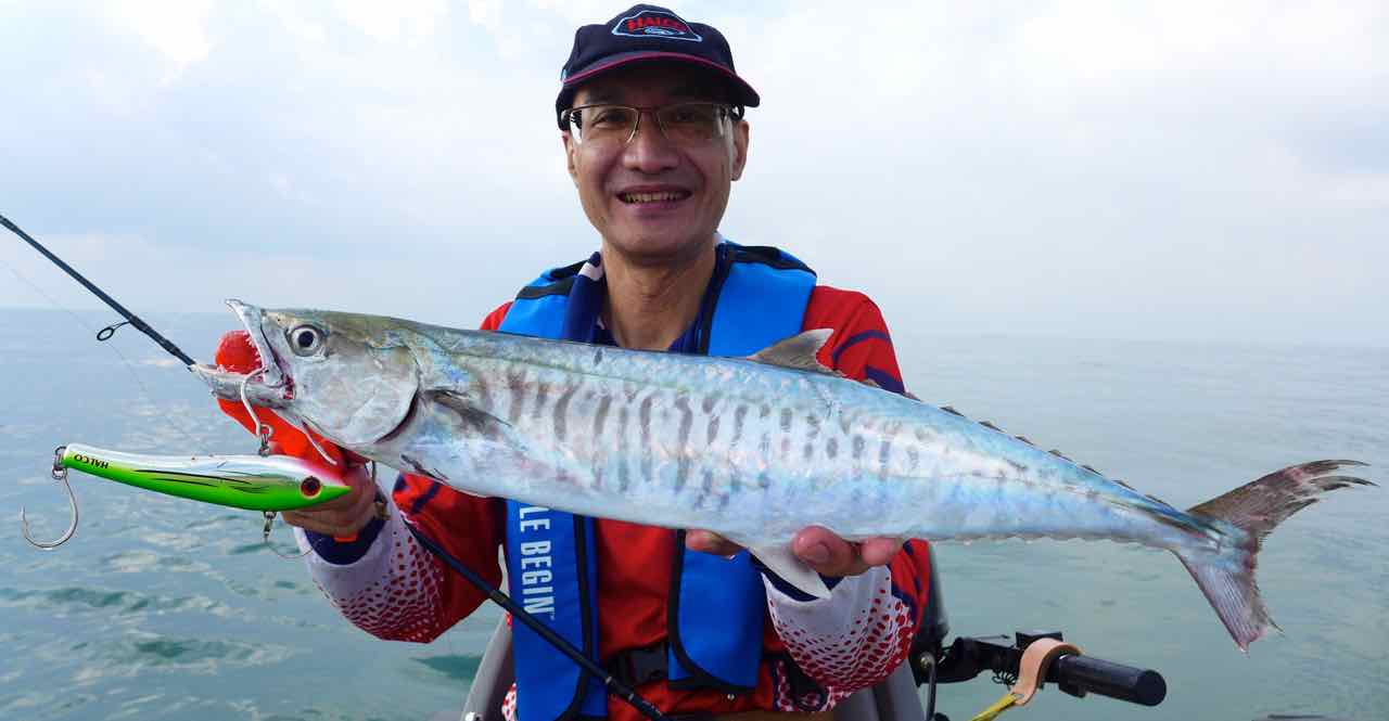 Catching Mackerel in Malaysia with high speed lures, the Halco Max 110!